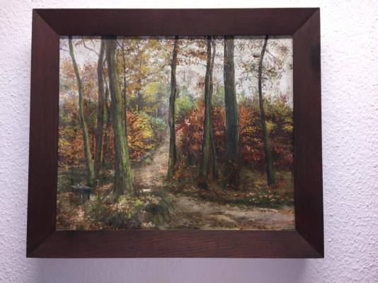 22251164_10212479301030936_892877790_o